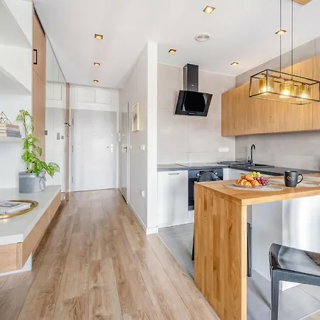 Urban Chic - One Bedroom - Gdanska * Lodz