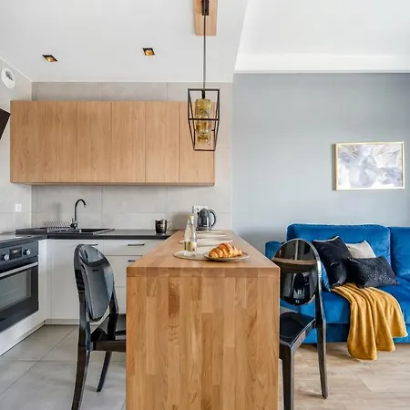 Apartment Urban Chic - One Bedroom - Gdanska Lodz